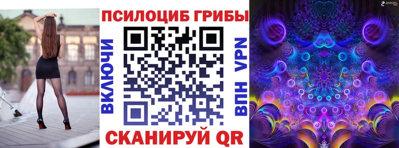 мега tor  даркнет сайт  Ершов  Галлюциногенные грибы прущие грибы 